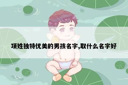 项姓独特优美的男孩名字,取什么名字好