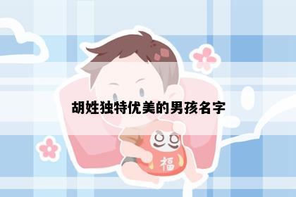胡姓独特优美的男孩名字