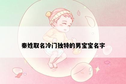 秦姓取名冷门独特的男宝宝名字