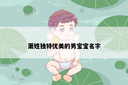 萧姓独特优美的男宝宝名字