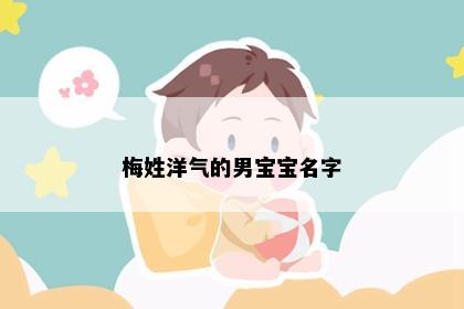 梅姓洋气的男宝宝名字