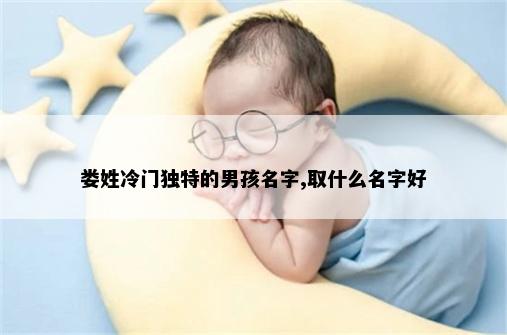 娄姓冷门独特的男孩名字,取什么名字好