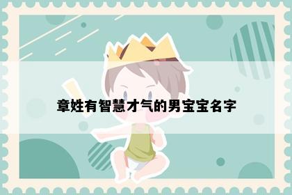 章姓有智慧才气的男宝宝名字
